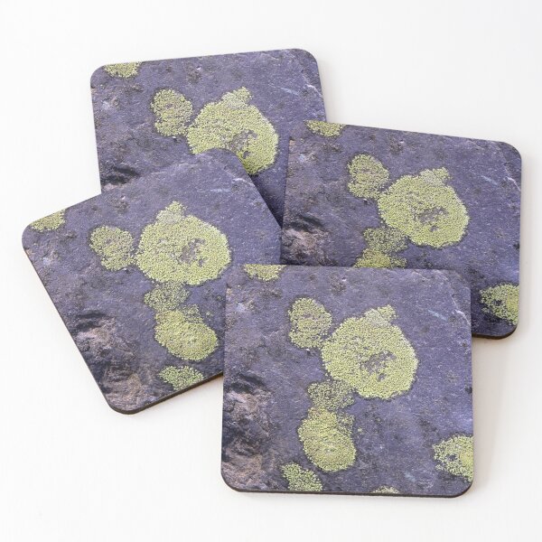 Item preview, lichen designed and sold by KathleenDawson.
