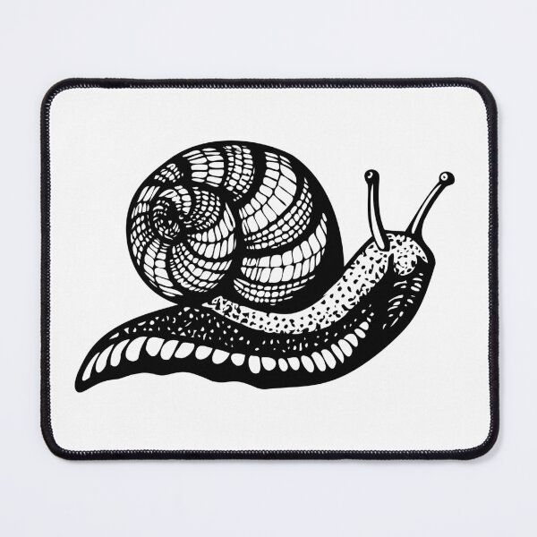 Item preview, Snail with patterns. designed and sold by alina-k-design.