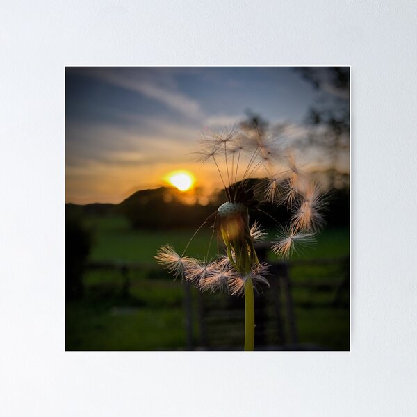 Item preview, As time goes by designed and sold by Gemma Laidlaw.