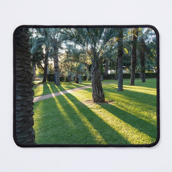 Item preview, Afternoon at Laurel Bank Park, Toowoomba. designed and sold by RussJenkins.