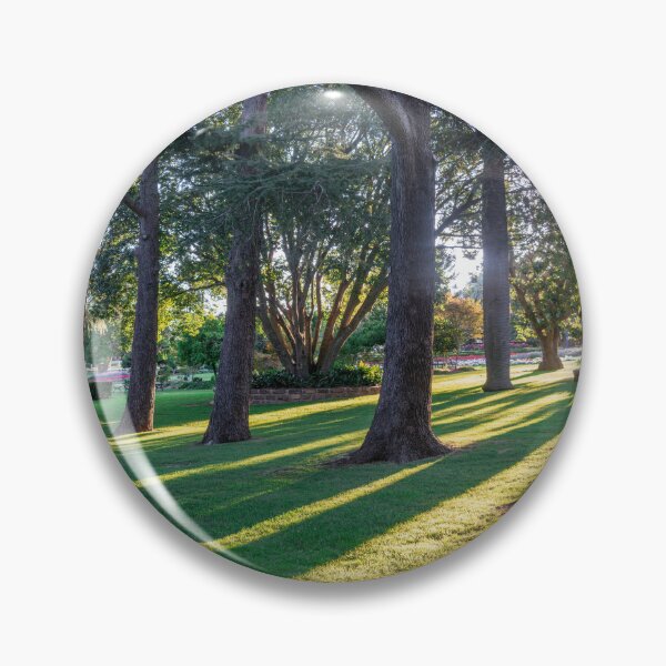 Item preview, Sunlight through the Trees at Laurel Bank Park, Toowoomba.  designed and sold by RussJenkins.