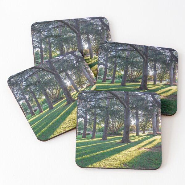 Item preview, Sunlight through the Trees at Laurel Bank Park, Toowoomba.  designed and sold by RussJenkins.