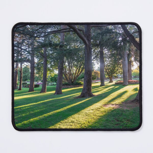 Item preview, Sunlight through the Trees at Laurel Bank Park, Toowoomba. designed and sold by RussJenkins.