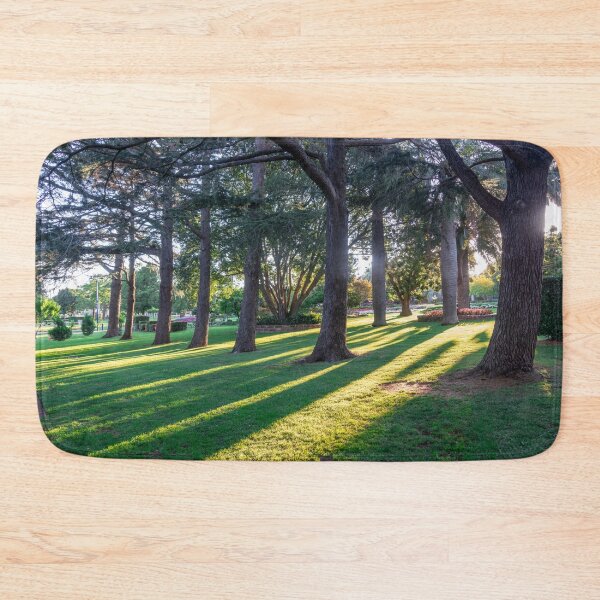 Item preview, Sunlight through the Trees at Laurel Bank Park, Toowoomba.  designed and sold by RussJenkins.