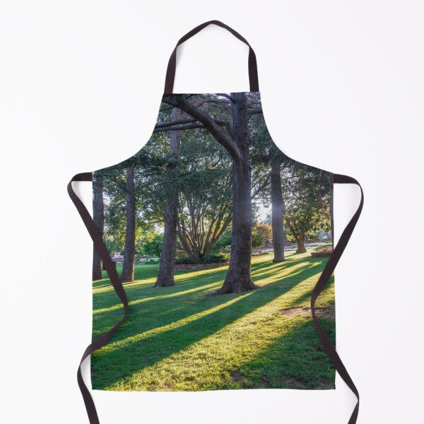Item preview, Sunlight through the Trees at Laurel Bank Park, Toowoomba. designed and sold by RussJenkins.