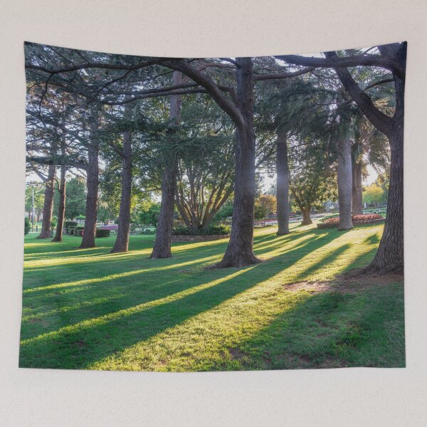 Item preview, Sunlight through the Trees at Laurel Bank Park, Toowoomba.  designed and sold by RussJenkins.