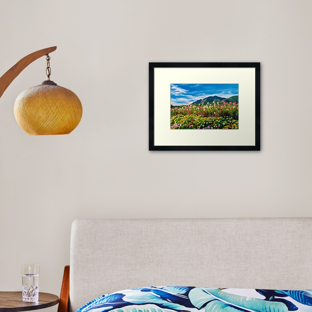 Flatirons And Flowers Framed Art Print