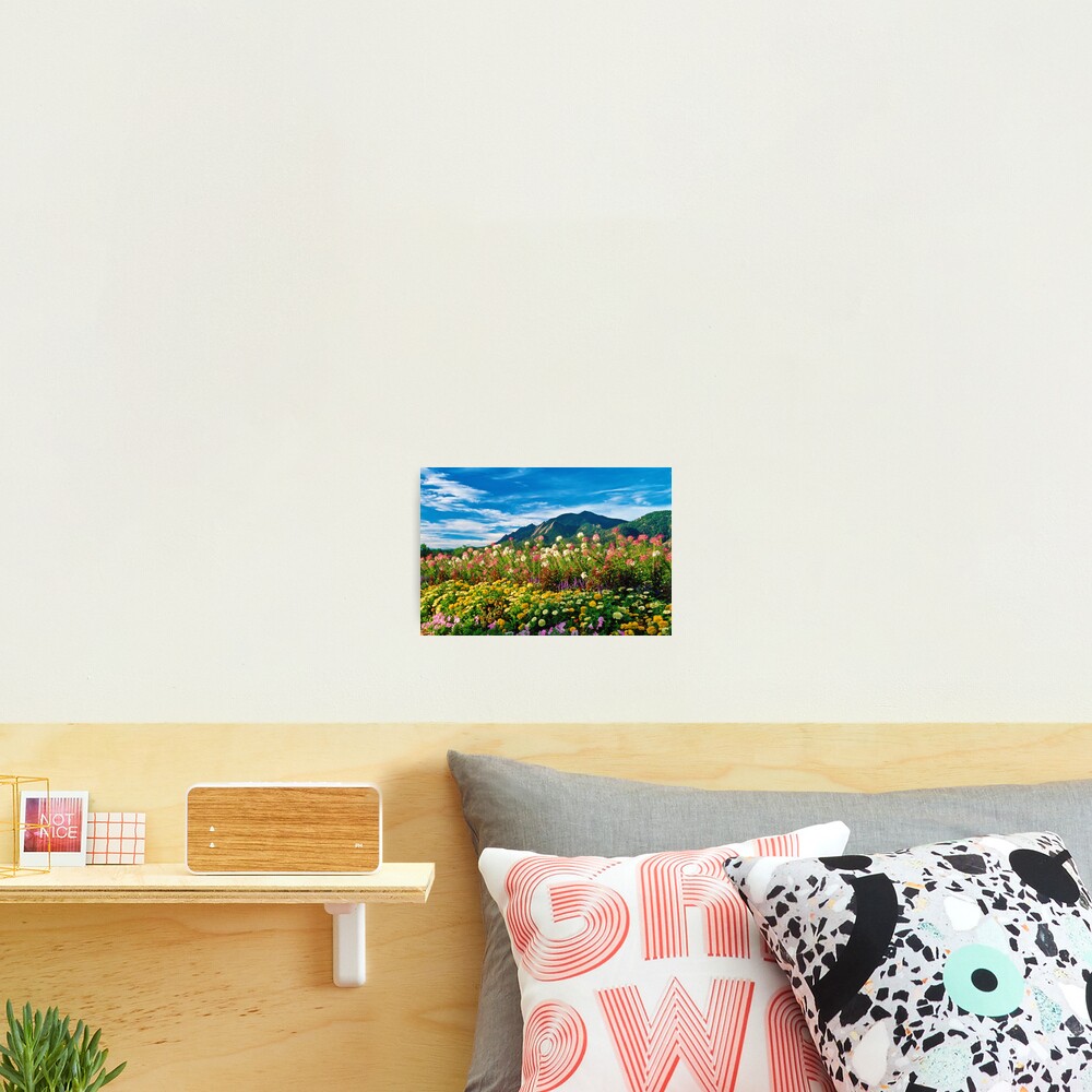 Item preview, Photographic Print designed and sold by nikongreg.