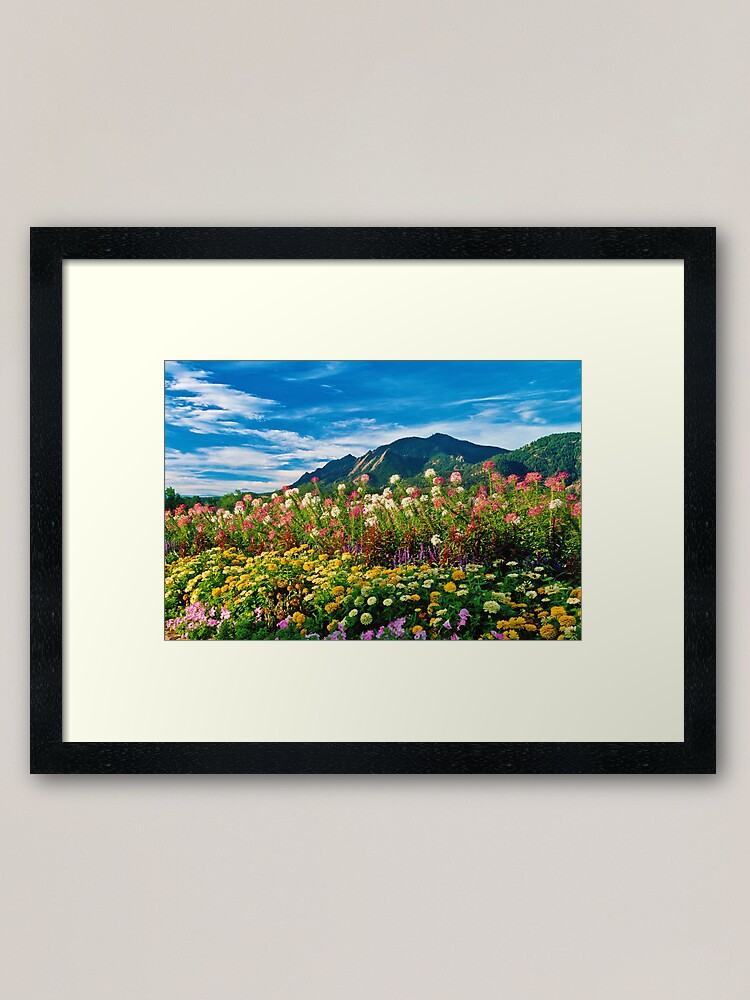 Alternate view of Flatirons And Flowers Framed Art Print