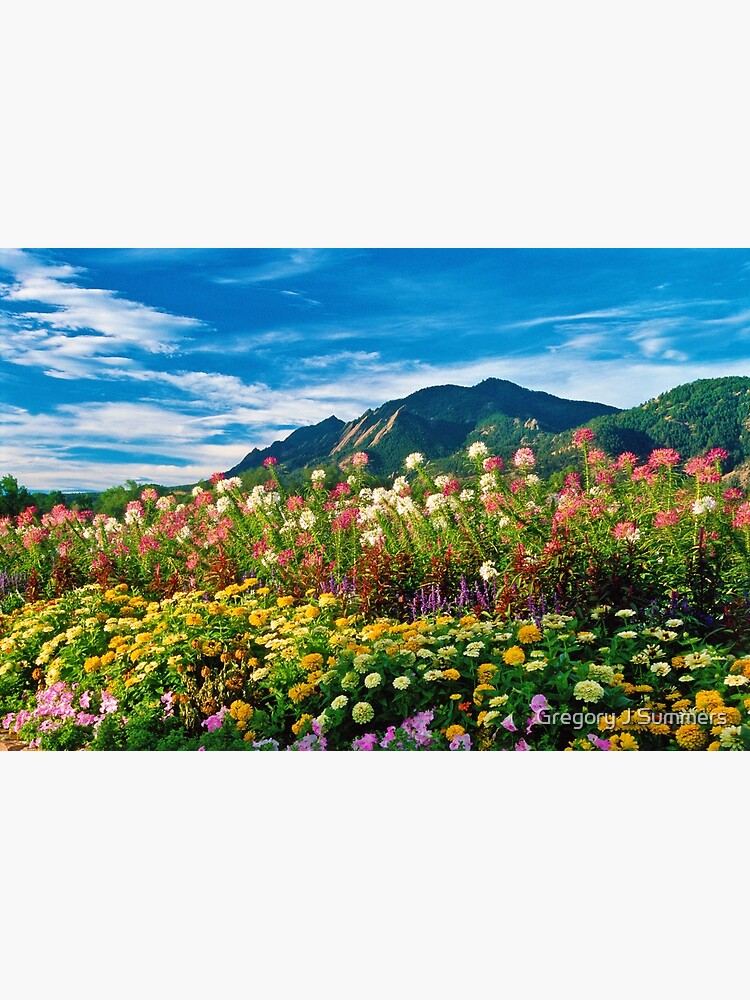 Flatirons And Flowers by nikongreg