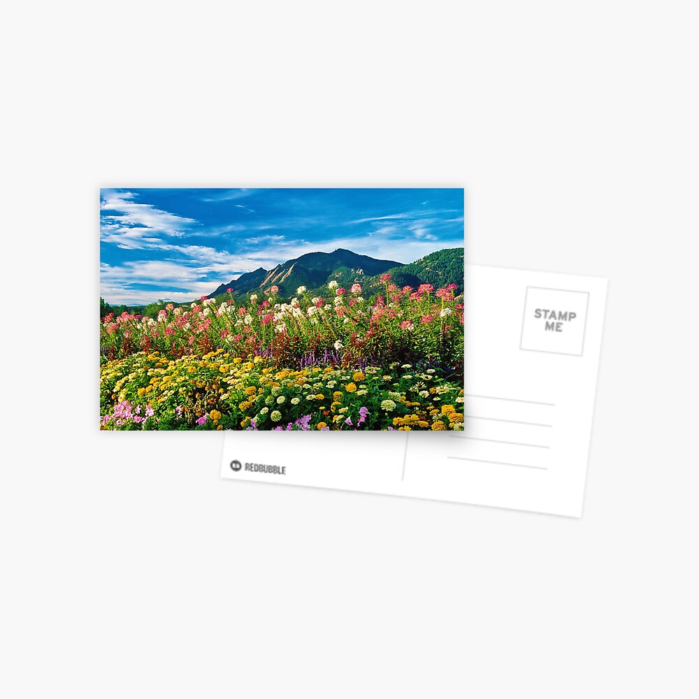 Item preview, Postcard designed and sold by nikongreg.