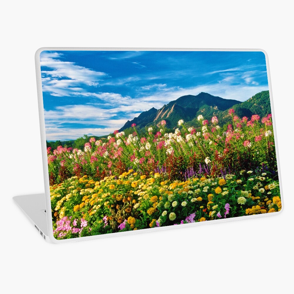 Item preview, Laptop Skin designed and sold by nikongreg.