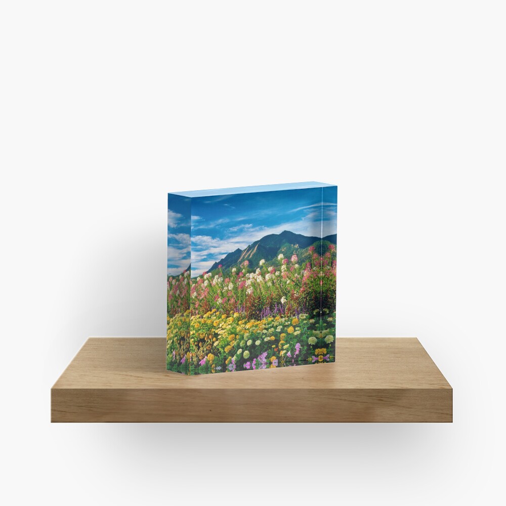 Item preview, Acrylic Block designed and sold by nikongreg.