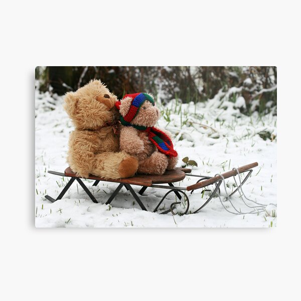Beary Cold Metal Print