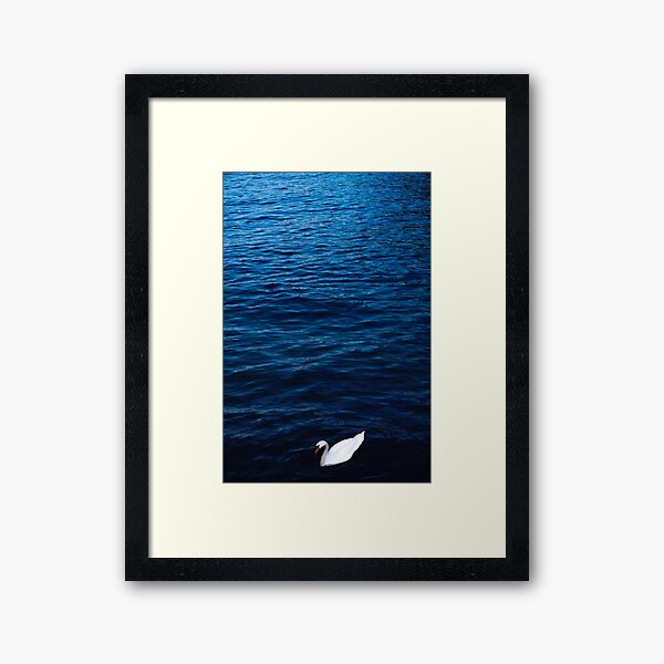 Item preview, Cygne au lac bleu designed and sold by Luce e Paesaggi Fotografia.