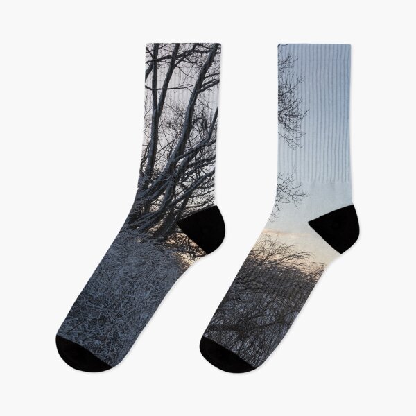 Item preview, Iced Over Lake Erie from a Forested Shore Cliff designed and sold by Georgia Mizuleva.