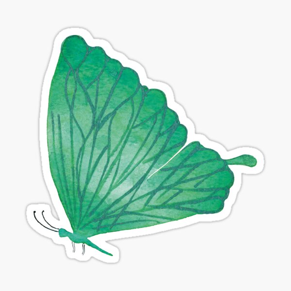 Green butterfly Sticker