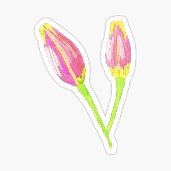Lily bud Sticker