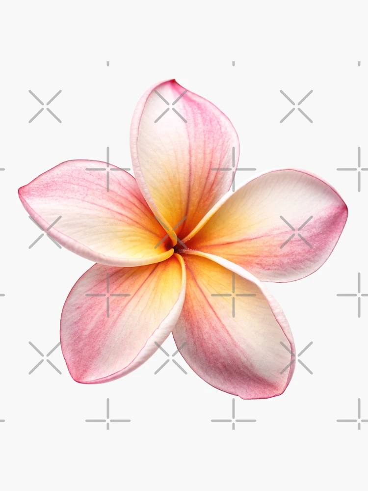 Hawaiian Pink♡ Amazon.com: Pink Hibiscus Tropical Flower Hawaiian Floral White Zx