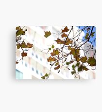 Autum Canvas Print