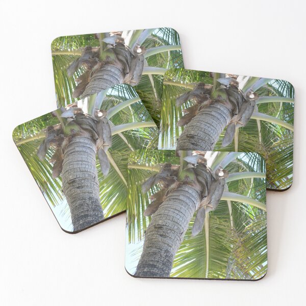Item preview, Towering Tropical Palm designed and sold by TimelapTravel.