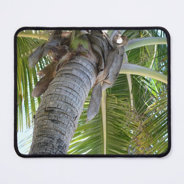 Item preview, Towering Tropical Palm designed and sold by TimelapTravel.