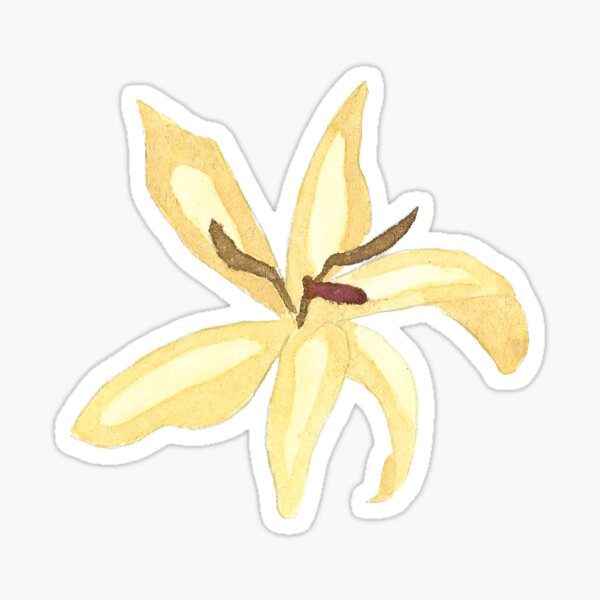 Vanilla flower Sticker
