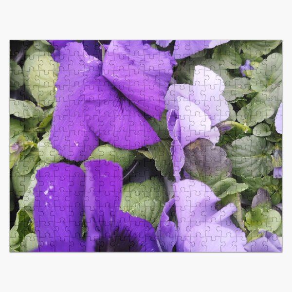 Artikel-Vorschau von Blumen im Winter, designt und verkauft von Zlatko1.