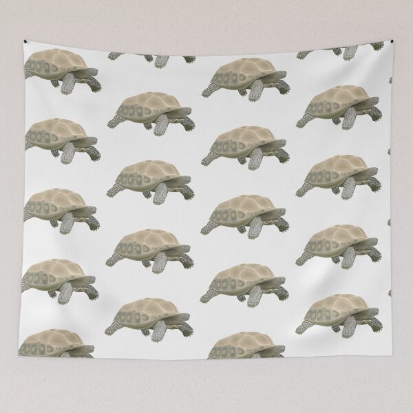 Item preview, Sulcata Tortoise designed and sold by hollyporshaa.