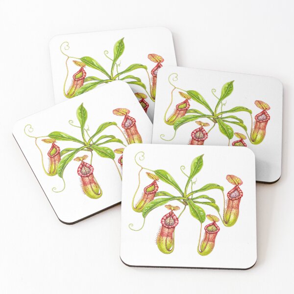 Item preview, Tropical Nepenthes Carnivorous Plant Art designed and sold by OlgaLionart.