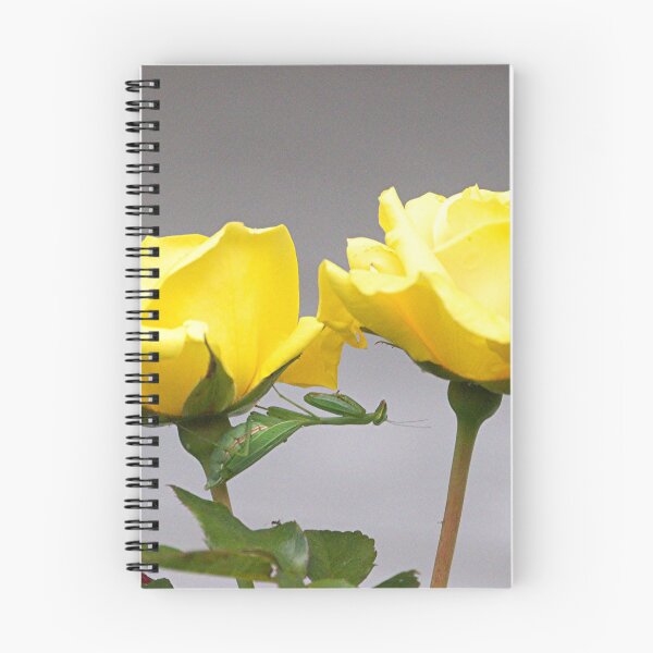 Item preview, Two Roses and a Mantis......!! designed and sold by Roy  Massicks.