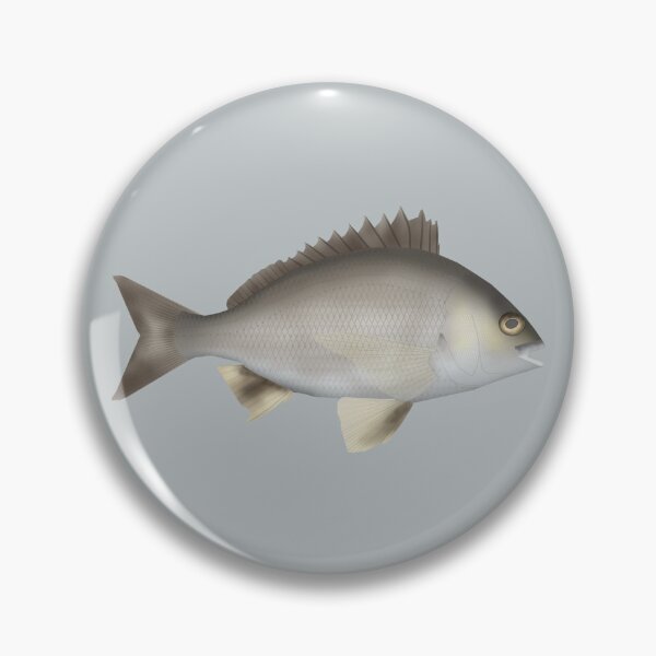 Item preview, Black Bream designed and sold by fishfolkart.