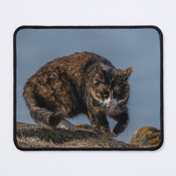 Item preview, Playful Cat Exploring the Outdoors designed and sold by Kristvin Gudmundsson.