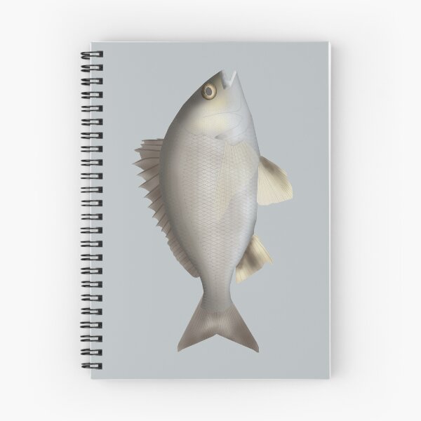 Item preview, Black Bream designed and sold by fishfolkart.