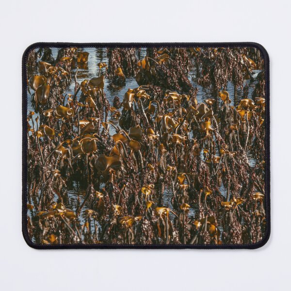 Item preview, Golden Seaweed in Coastal Waters designed and sold by Kristvin Gudmundsson.