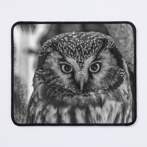 Item preview, Boreal Owl Portrait designed and sold by Vargulich.