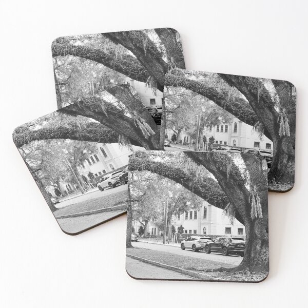 Item preview, Old Trees Downtown designed and sold by filmphotog.