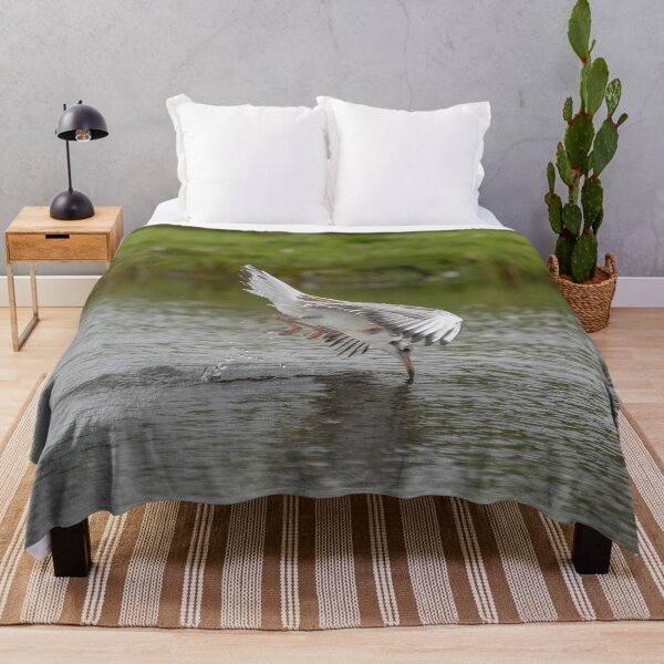 Item preview, Seagull in Mid-Dive Over Water designed and sold by Kristvin Gudmundsson.