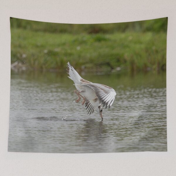 Item preview, Seagull in Mid-Dive Over Water designed and sold by Kristvin Gudmundsson.
