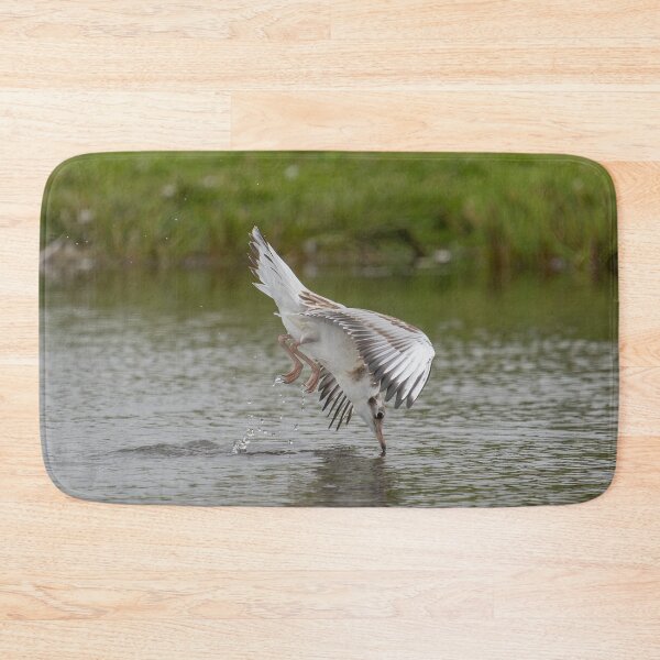 Item preview, Seagull in Mid-Dive Over Water designed and sold by Kristvin Gudmundsson.