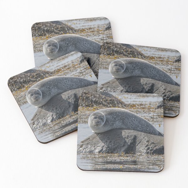 Item preview, Relaxed Seal Resting on a Coastal Rock designed and sold by Kristvin Gudmundsson.
