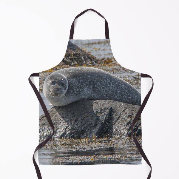 Item preview, Relaxed Seal Resting on a Coastal Rock designed and sold by Kristvin Gudmundsson.