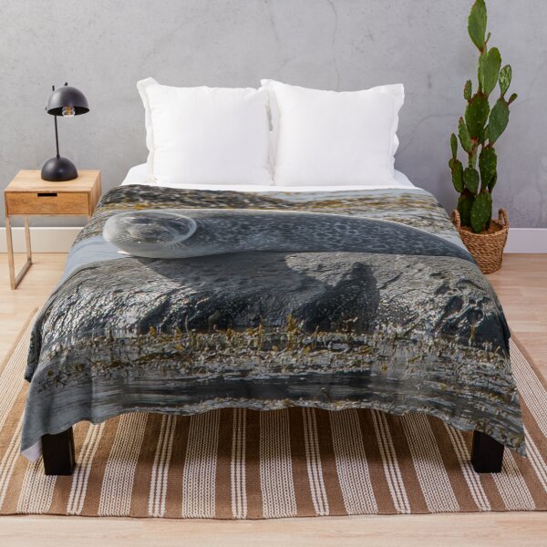 Item preview, Relaxed Seal Resting on a Coastal Rock designed and sold by Kristvin Gudmundsson.
