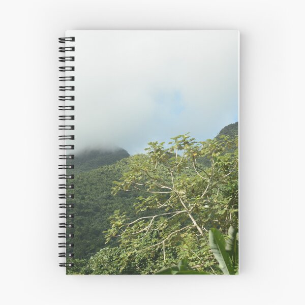 Item preview, Touching the Clouds: El Yunque Rainforest  designed and sold by TimelapTravel.