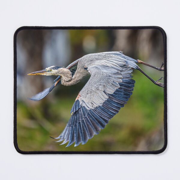 Item preview, Great Blue in Flight designed and sold by Your search is over, it’s here! .