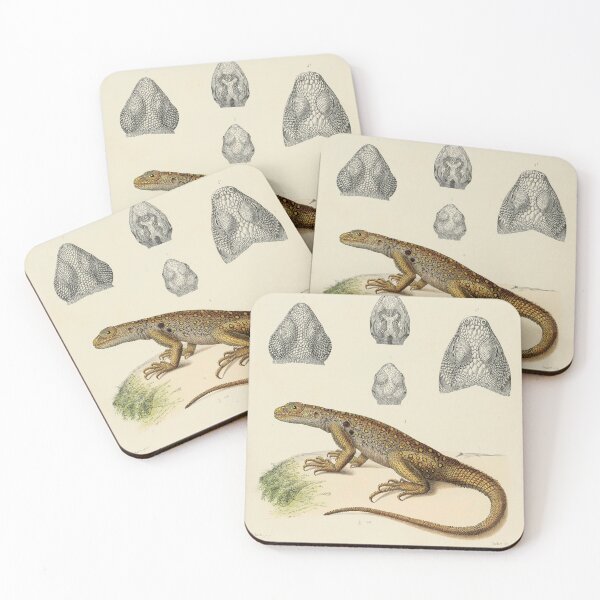 Item preview, Vintage Scientific Illustration of Lizards - 19th Century Natural History Print designed and sold by InnerCitadel.