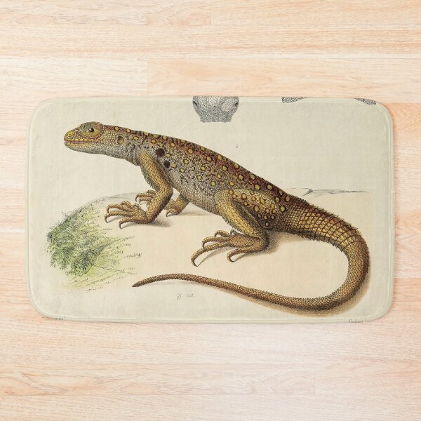 Item preview, Vintage Scientific Illustration of Lizards - 19th Century Natural History Print designed and sold by InnerCitadel.