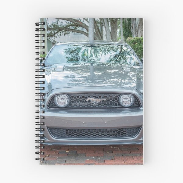 Item preview, 2016 Silver Ford Mustang GT 5-0 Premium X100 designed and sold by RichFrancoCars.