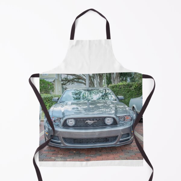 Item preview, 2016 Silver Ford Mustang GT 5-0 Premium X100 designed and sold by RichFrancoCars.