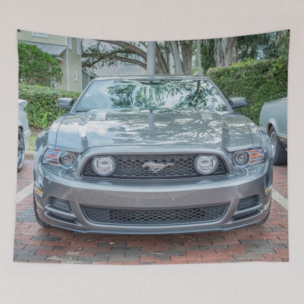 Item preview, 2016 Silver Ford Mustang GT 5-0 Premium X100 designed and sold by RichFrancoCars.